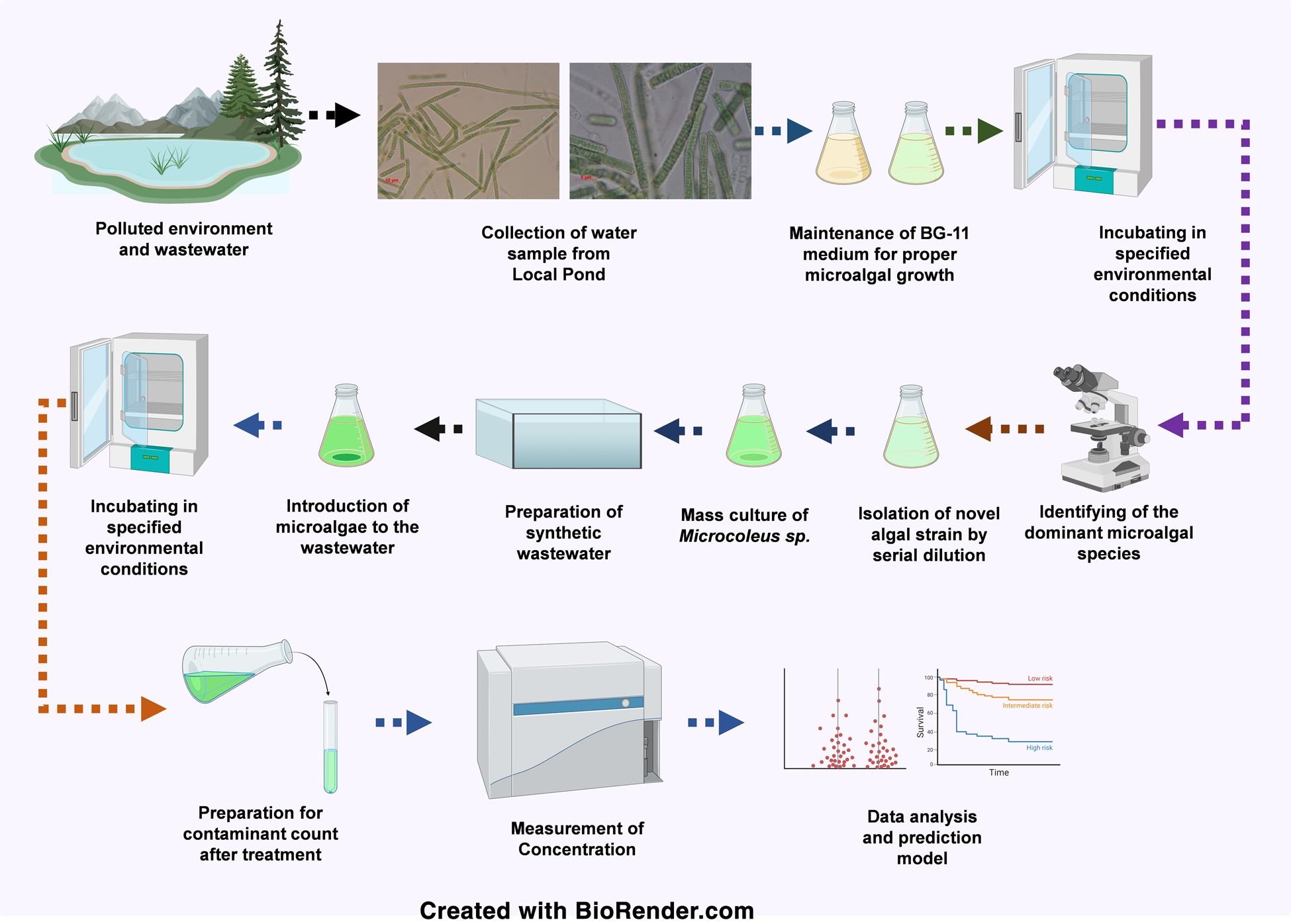 Biosorption of pollutants